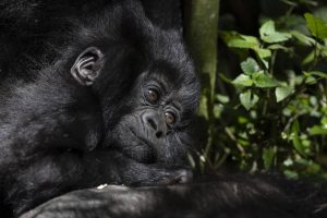 Blog List Featured Image